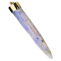 OPALIZED FOSSILS